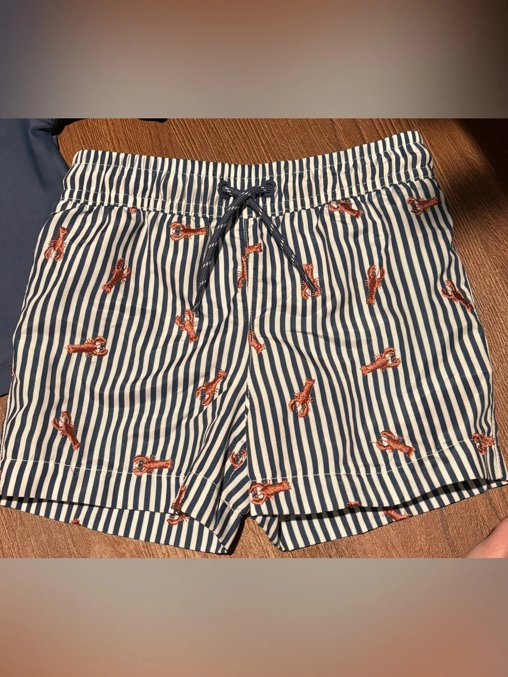 🎉 (18m) C&C California Toddler Boys 2PC Swim Set